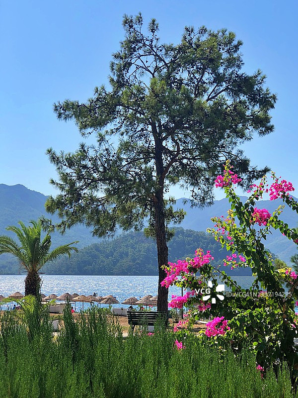 马尔马里斯，土耳其图片素材