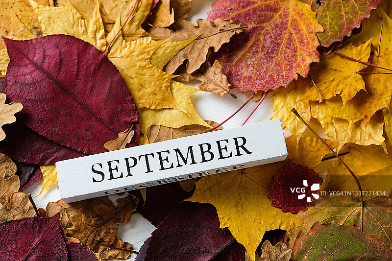 秋天落叶背景上的九月字样图片素材