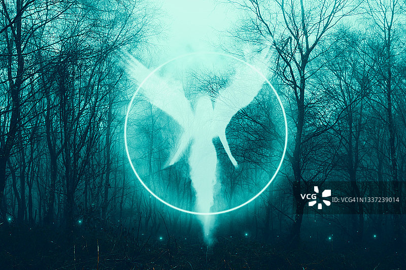 冬季神秘森林中漂浮的女性天使概念图图片素材