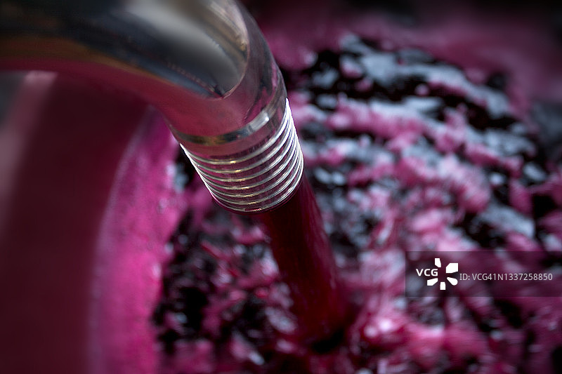 博尔盖里，里窝那 - 意大利托斯卡纳 - 葡萄酒生产过程图片素材