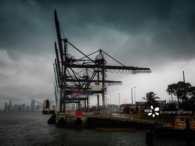 迈阿密道奇岛上的起重机图片素材