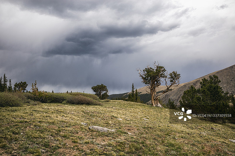 科罗拉多埃文斯山荒野风景图片素材