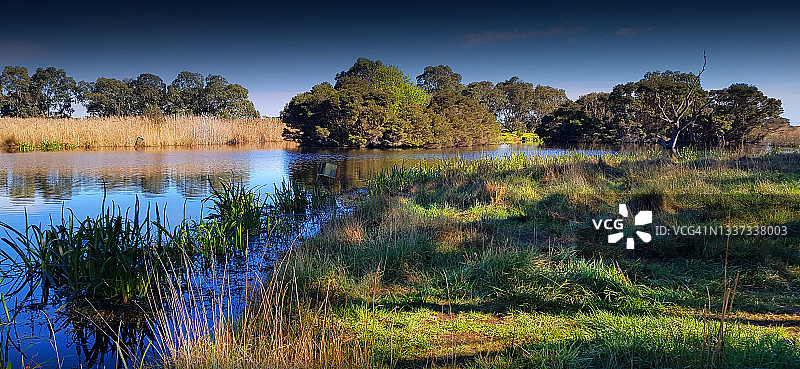 澳大利亚维多利亚州布雷赛德公园泻湖的冬日之光图片素材