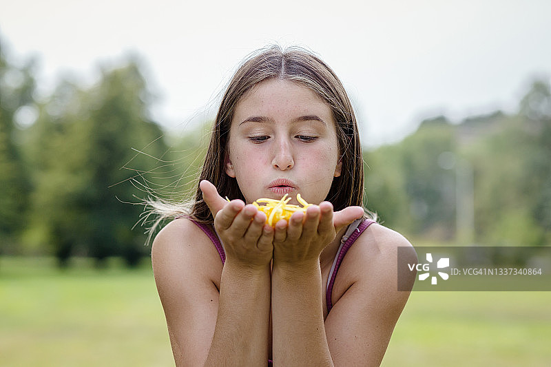 吹拂花瓣图片素材