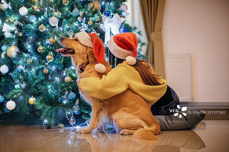 女孩和狗在圣诞树旁装饰和玩耍图片素材