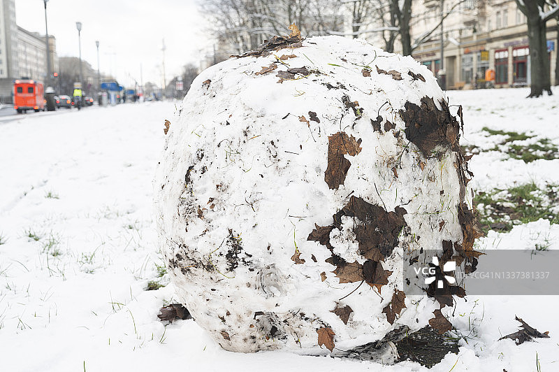 冬季覆盖着树叶的大雪球，德国柏林图片素材