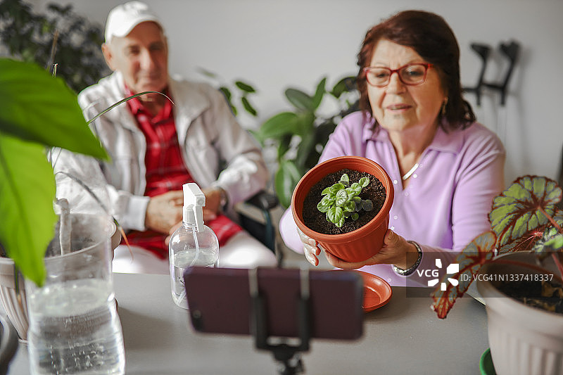 老年夫妇通过电话展示植物图片素材