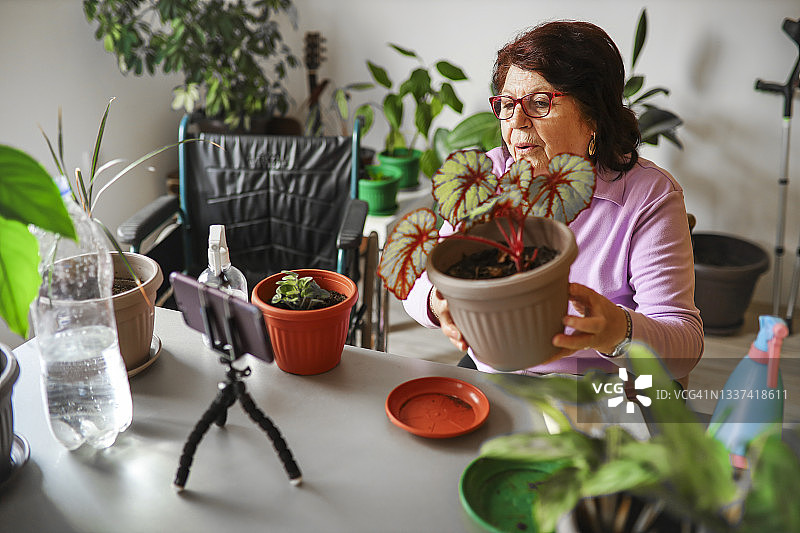 老年妇女在视频通话中展示她的植物图片素材