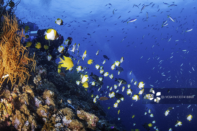 巴布亚新几内亚维图群岛地区的珊瑚礁图片素材