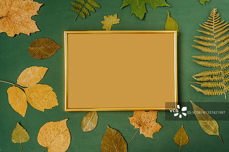 秋季扁平风素材：绿色背景上的干燥树叶图片素材