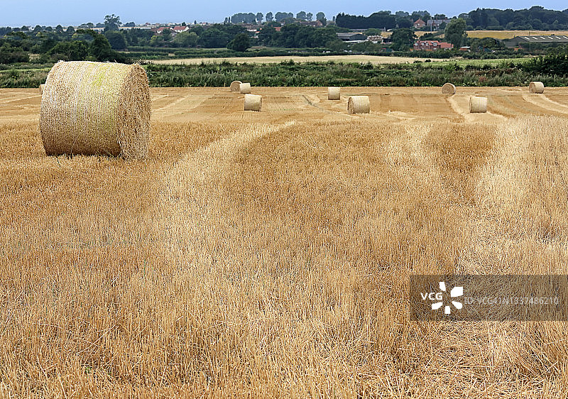 田野里的圆形干草捆图片素材