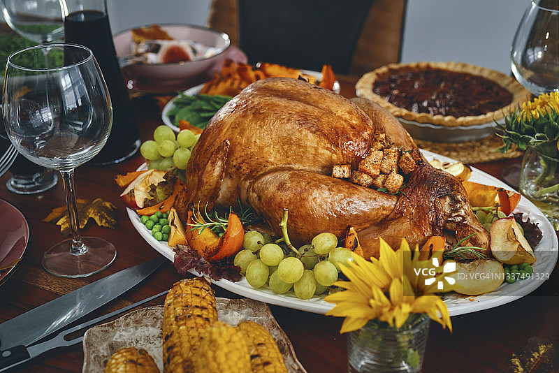 感恩节毛绒火鸡与南瓜、豌豆、山核桃派和其他食材图片素材