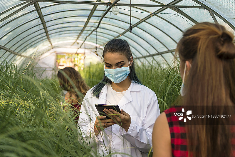 花卉温室中图片素材