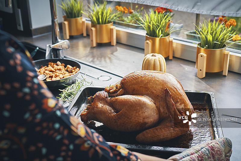 节日烤火鸡图片素材