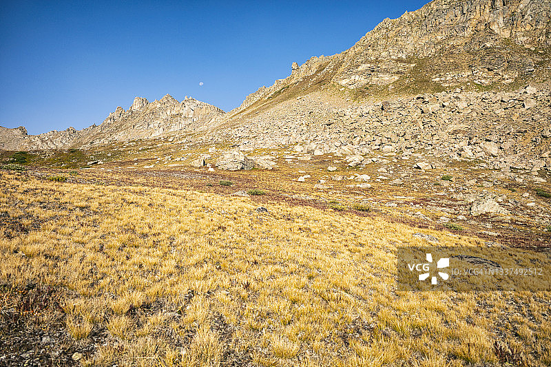圣十字荒野中的苔原景观图片素材
