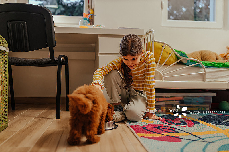 小女孩在家里的地板上喂小狗图片素材