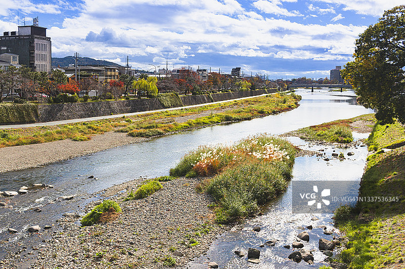 京都市鸭川的秋景图片素材