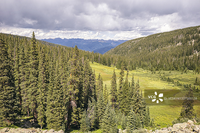 科罗拉多州圣十字荒原的森林景观图片素材