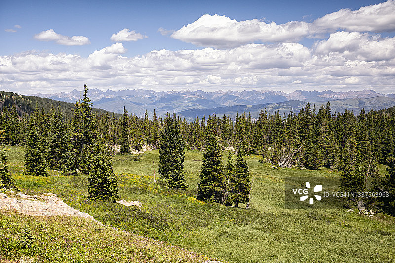 科罗拉多州圣十字荒原的森林景观图片素材