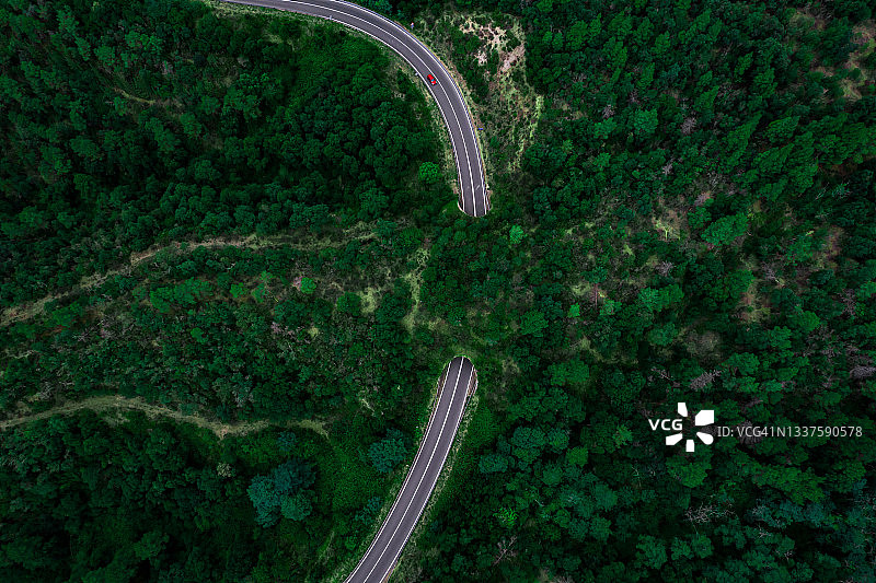 绿色桥梁走廊鸟瞰图：野生动物安全穿越高速公路图片素材