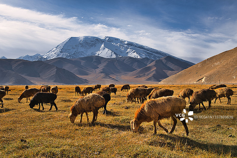 新疆喀什的帕米尔高原（含中巴喀喇昆仑公路）图片素材
