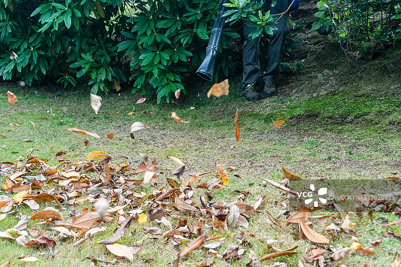 男人在花园里吹落叶图片素材