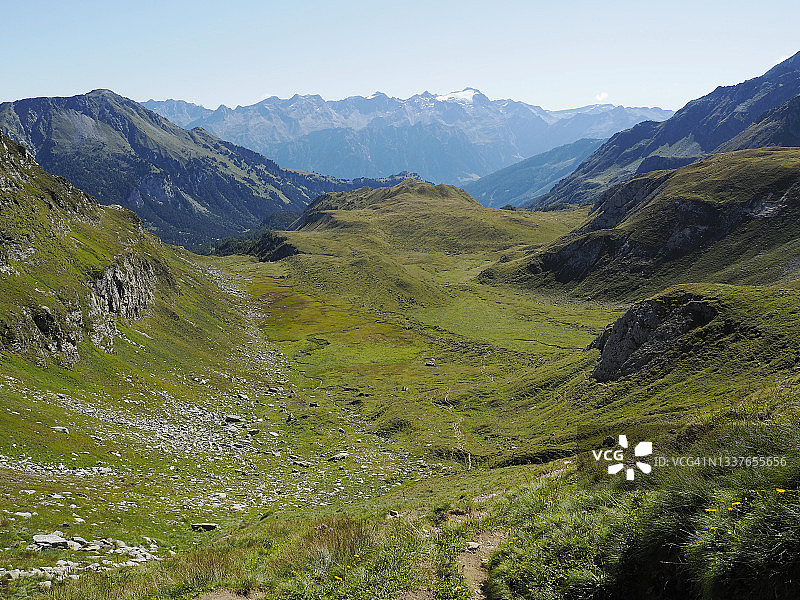 圣玛丽山谷的阿尔卑斯牧场，靠近卢科马尼奥山口图片素材