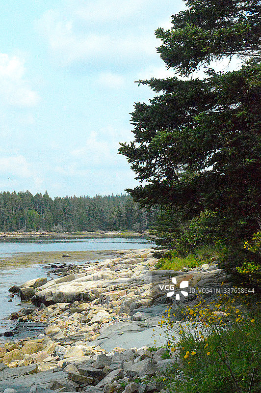 缅因州阿卡迪亚国家公园的斯库迪克半岛图片素材