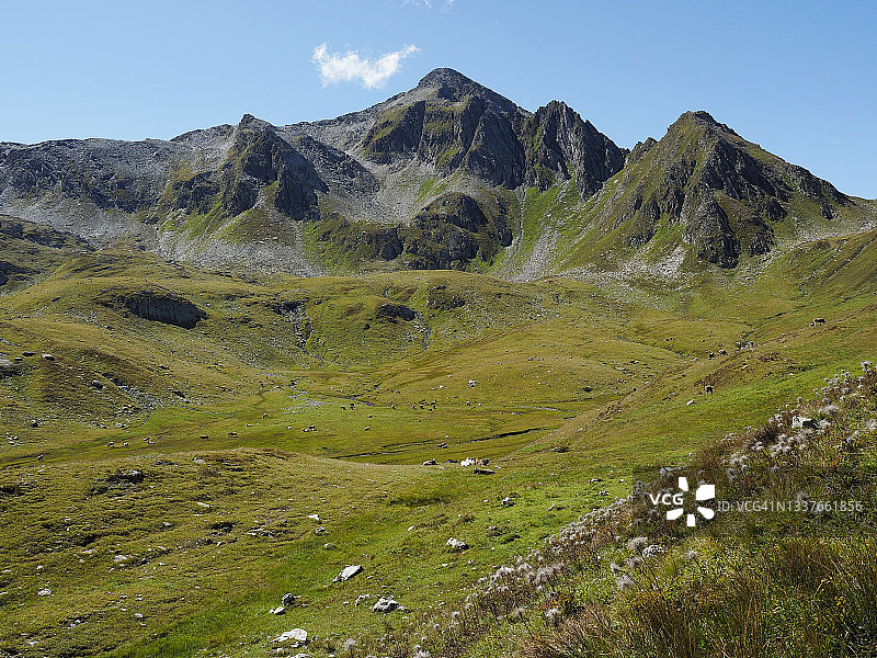 圣玛丽山谷高山牧场（卢克马尼耶山口附近）图片素材