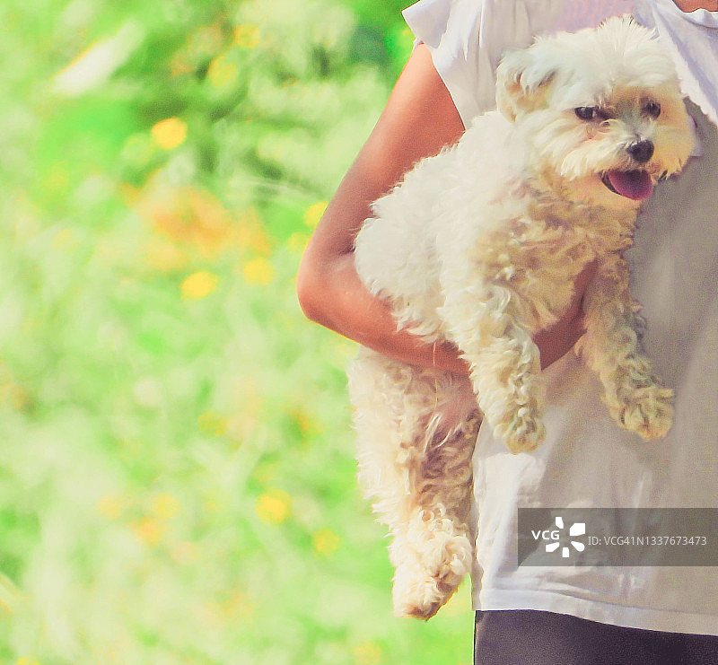 怀抱小狗的年轻女人图片素材