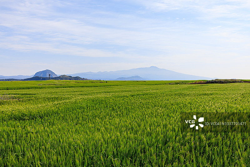 韩国济州岛山邦山和汉拿山风光图片素材