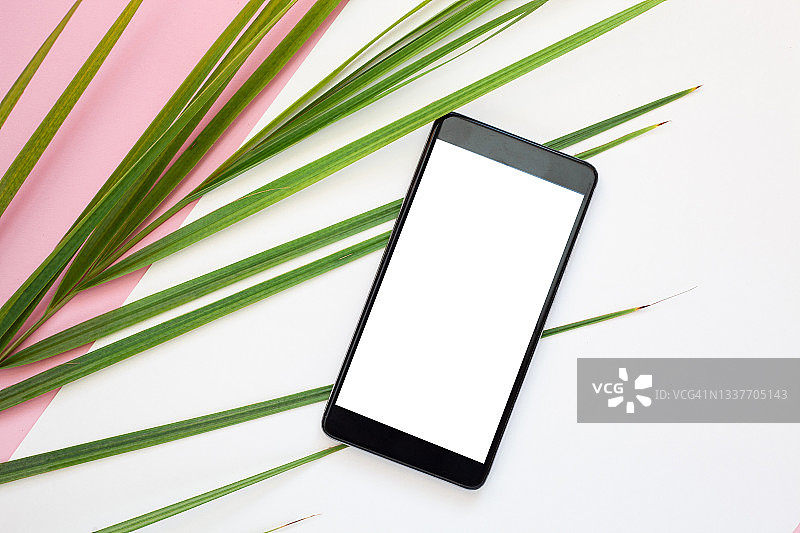 手机空白白色屏幕，带棕榈树枝，白色和粉色几何背景图片素材