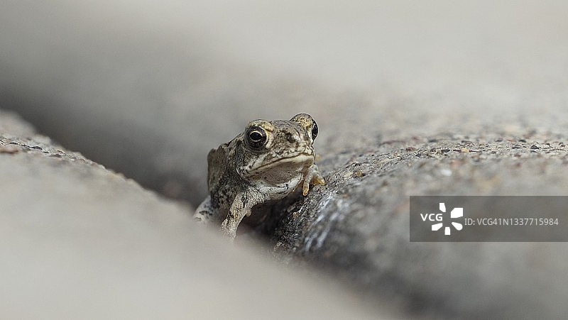 战壕中图片素材