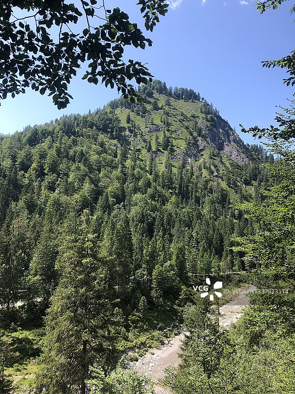 德国巴伐利亚森林覆盖的山景图片素材