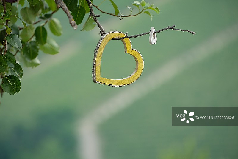 挂在树枝上的黄色心形装饰图片素材