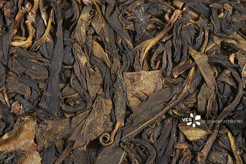 白色背景下的中国黑茶图片素材