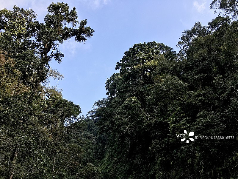 印度尼西亚阿朱诺火山森林图片素材