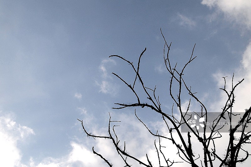 天空之巅的自然风光图片素材