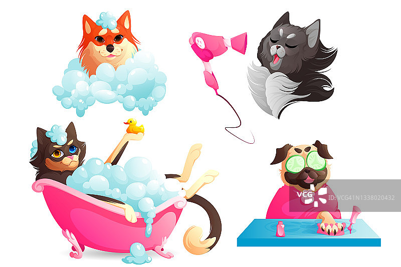 小狗水疗和美容服务，有趣的小狗图片素材