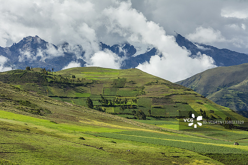 秘鲁圣谷，莫雷村庄周围的农田和安第斯山脉图片素材