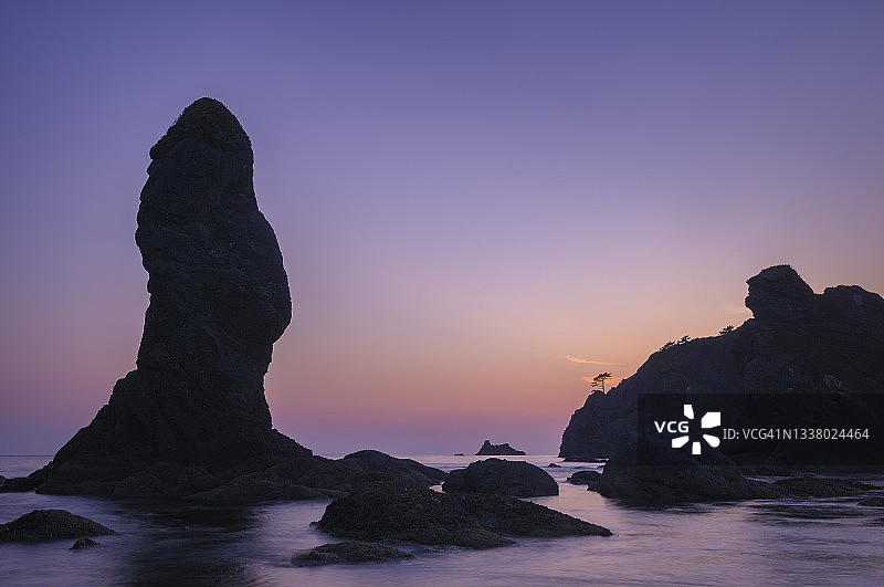 华盛顿海岸奥林匹克国家公园海蚀柱图片素材