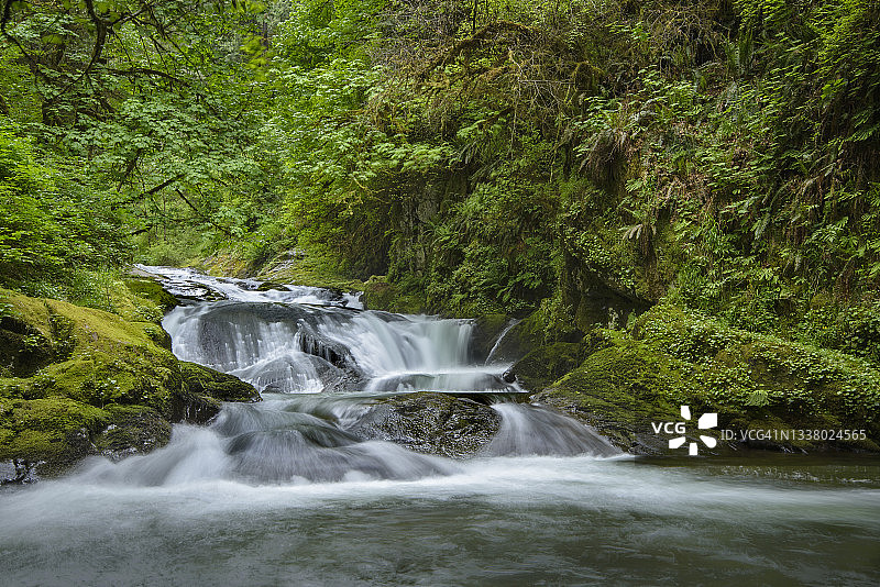 俄勒冈州海岸山脉甜溪瀑布图片素材