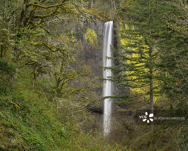俄勒冈州盖伊塔尔博特州立公园哥伦比亚河峡谷国家风景区的拉图雷尔瀑布图片素材