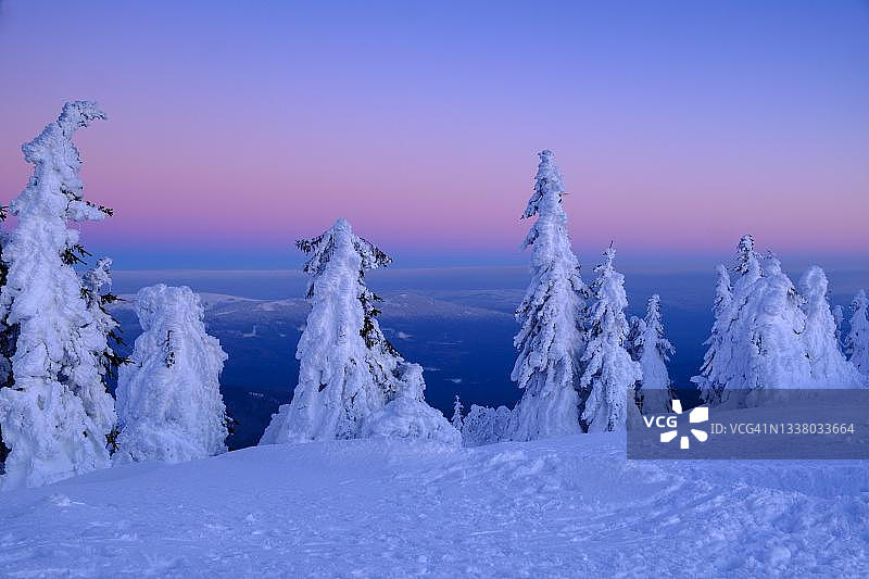 德国巴伐利亚森林公园雪山云杉日落图片素材