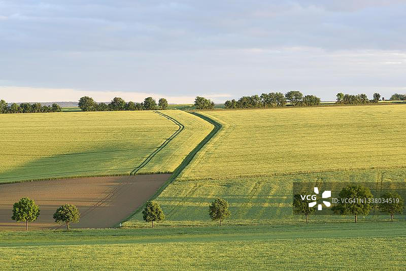 埃菲尔地区的粮田文化景观，德国北莱茵-威斯特法伦州图片素材