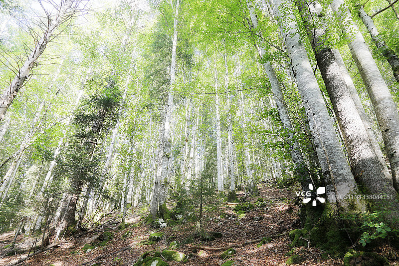 法国汝拉山脉内日峰景观图片素材