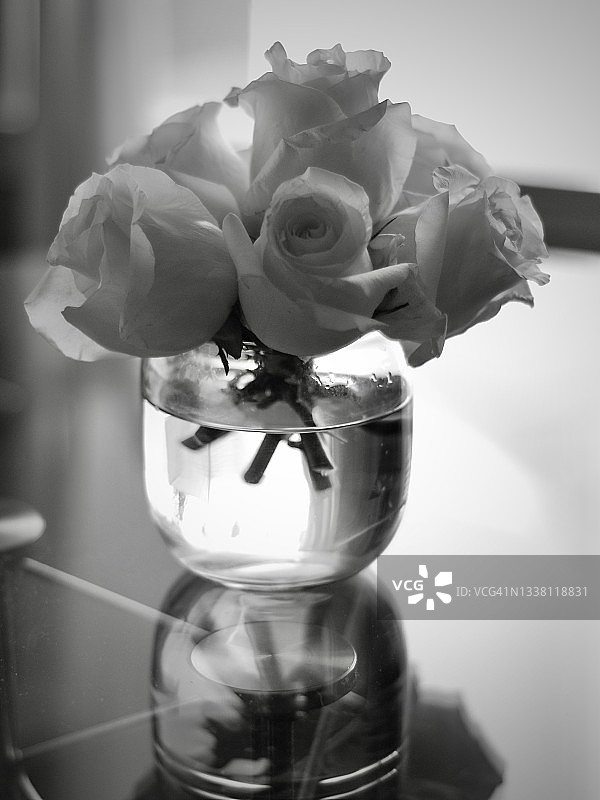 玻璃桌上玻璃花瓶中的白色玫瑰花特写图片素材