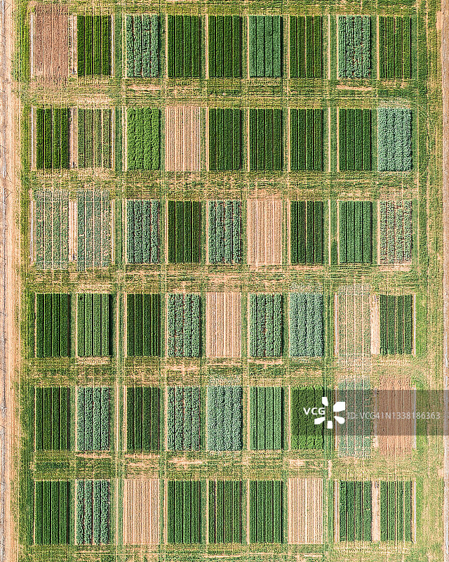 农作物试验田的航拍景色图片素材