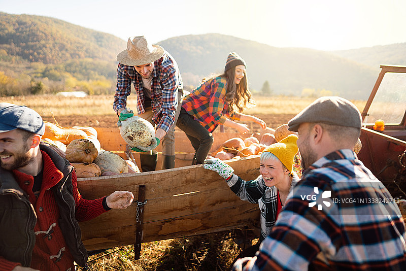 收获后，农民们高兴地将南瓜装入拖拉机图片素材