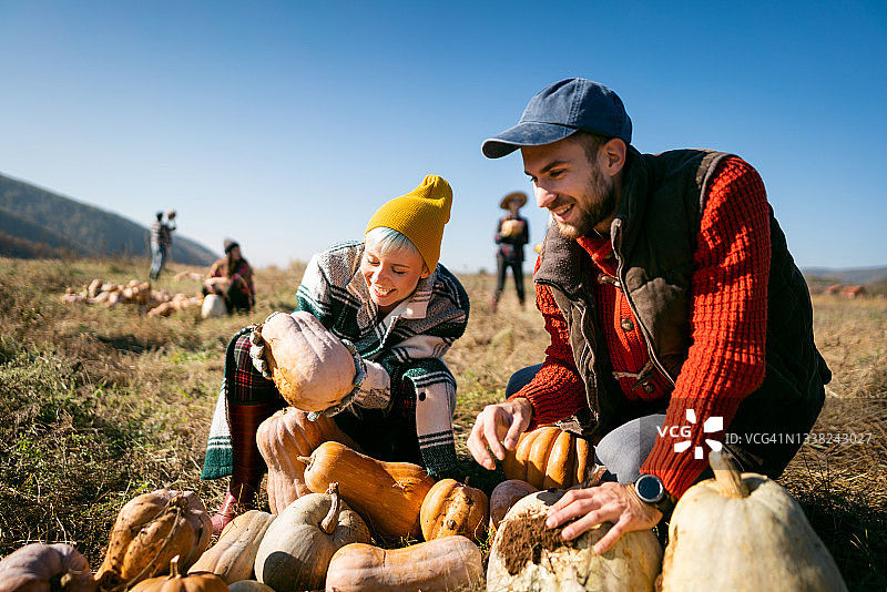 快乐的白人夫妇在田野里收获南瓜图片素材